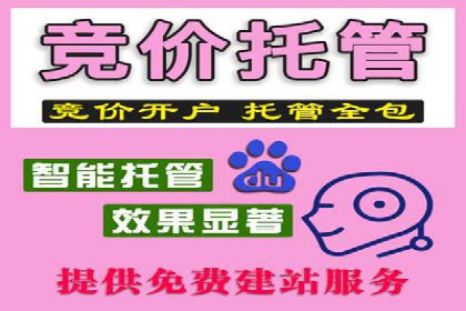 成功案例揭秘：sem代运营公司的策略与技巧